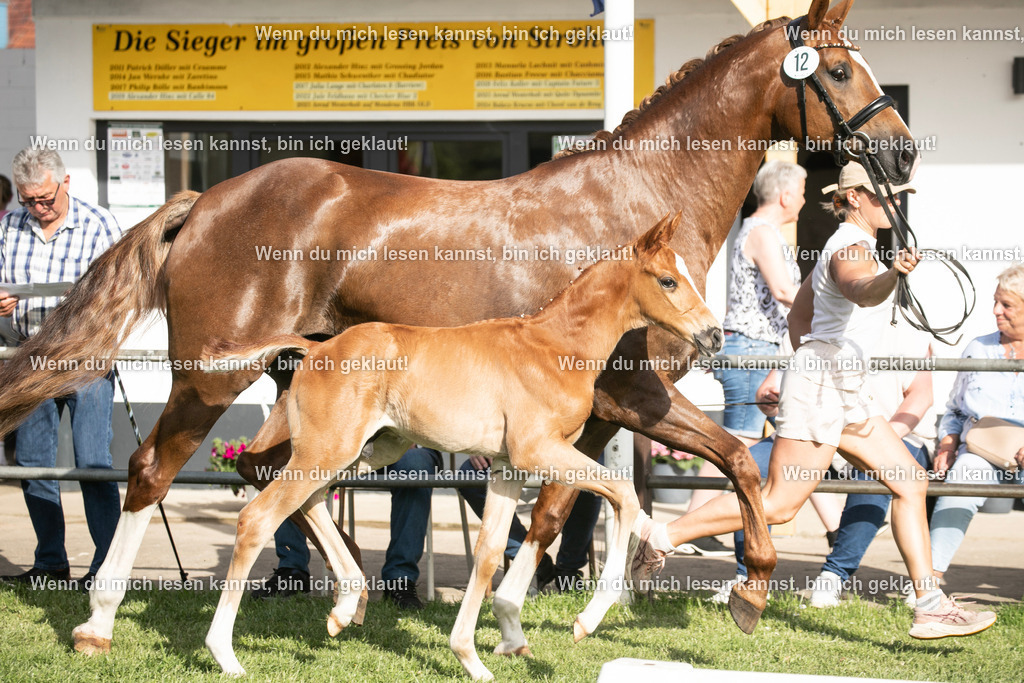 598A7205 | photographylinaismer - Realisiert mit Pictrs.com