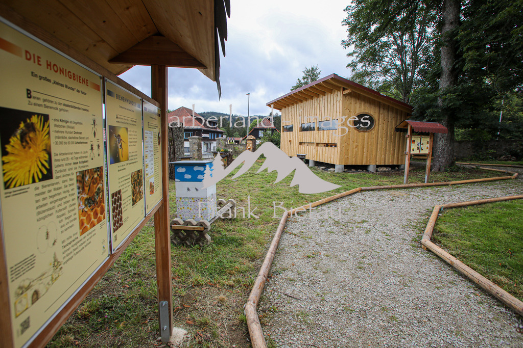 OE7A0817 | Medien- Sport- Entertainmentfotos