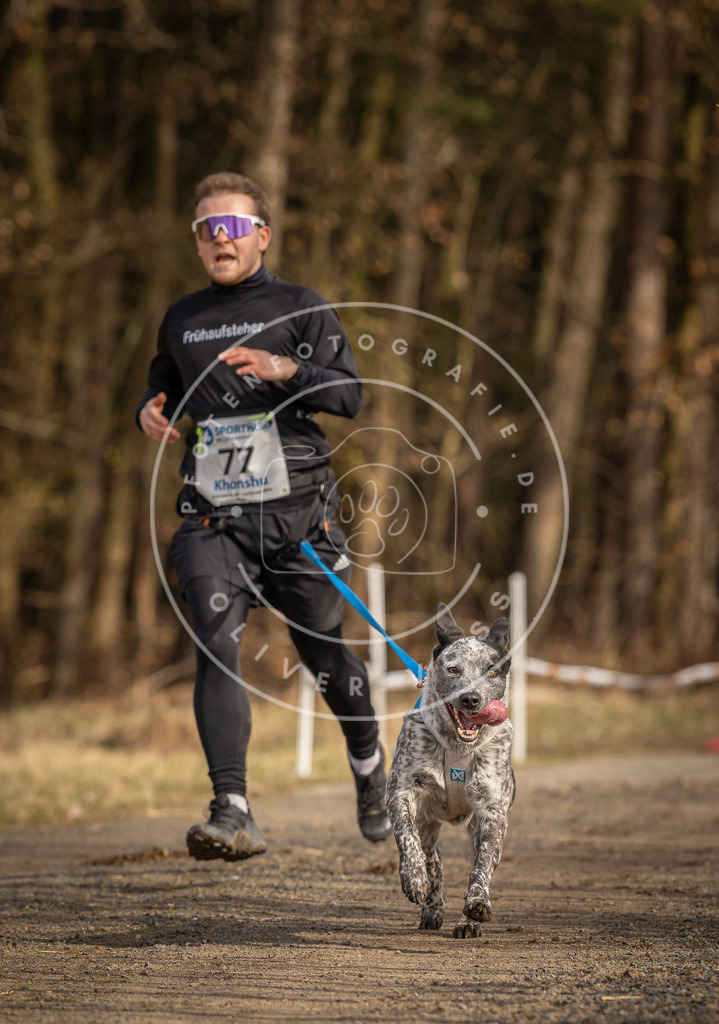 DV3A3672 | Hundefotografie, Tierfotograf, Pfotenfotografie, Fotoshooting Hund, Hunde Portrait, Hundesport, Hundeportraits, Heideshooting, Hunde, Sportfotograf, Hundefotograf, Turnierhundsport, THS,  - Realisiert mit Pictrs.com