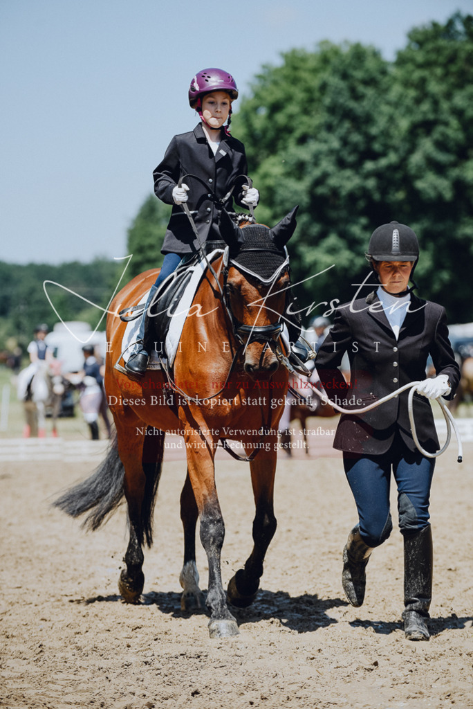 DSC_2218 | Pferde- und Turnierfotografie in Westsachsen. Pferdeportraits, Auftragszeichnungen und intuitive Kunst.