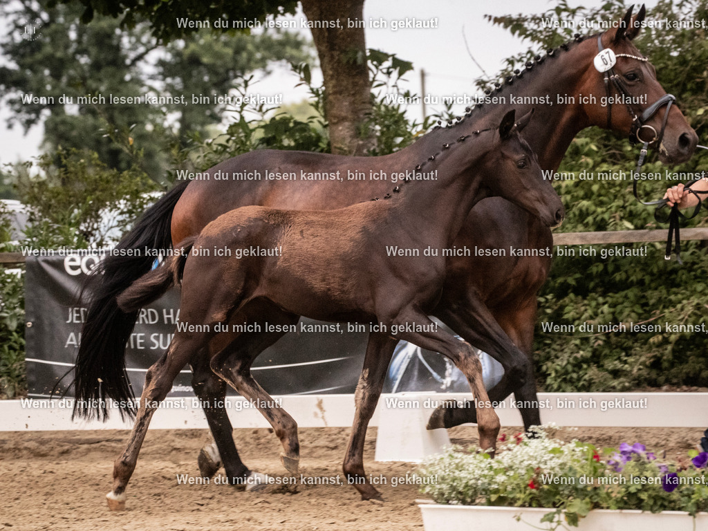 A10I6930 | photographylinaismer - Realisiert mit Pictrs.com