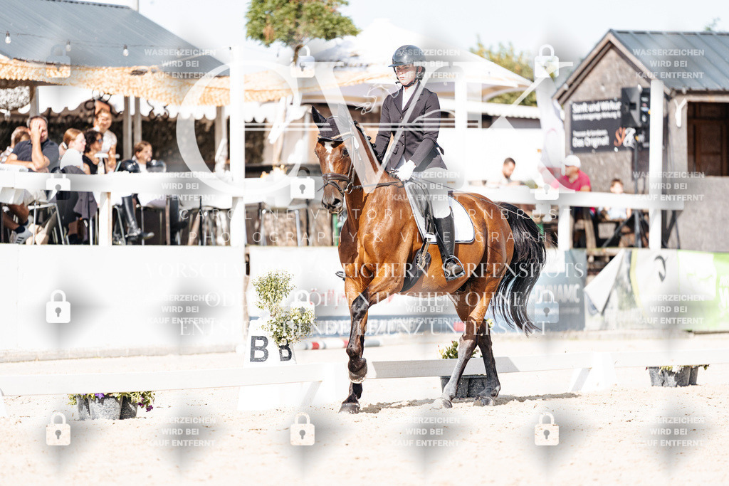 CK905748 | Turnierfotografie Pferdefotografie Trier Rheinland-Pfalz Pferdesport Reitsport Tierfotografie Sportfotografie Pferdevideo Pferdevideografie Equestrianvideography equestrianphotography  - Realisiert mit Pictrs.com