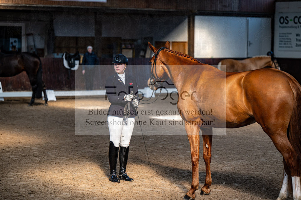 20240308-DOS_4196 | Entdecke hochwertige Reitturnierfotos von Foto Oger. Professionell, emotional und authentisch – jetzt Lieblingsmomente im Shop bestellen.Deutschlandweite Turnierfotografie. - Realisiert mit Pictrs.com