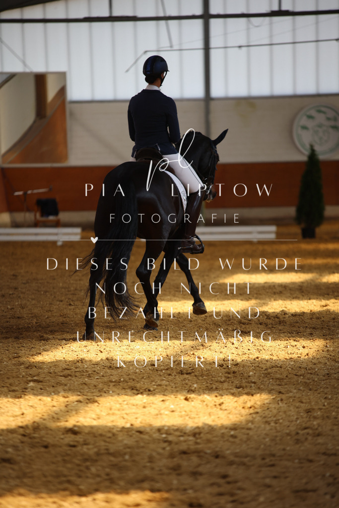 IMGT8604 | pl-fotografie