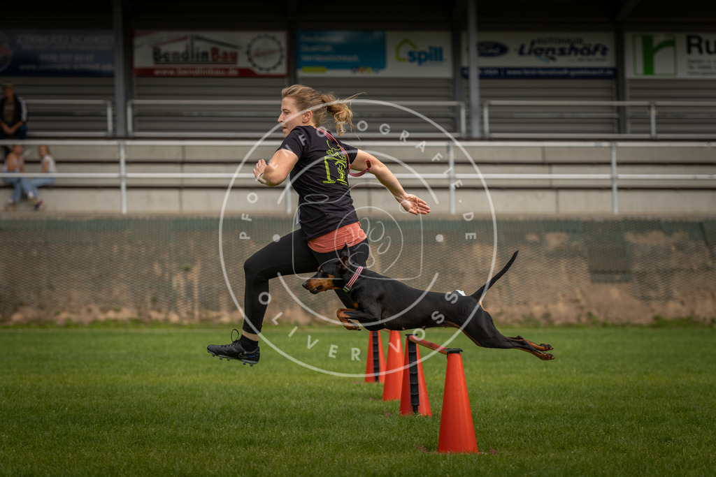 Pfotenfotografie_DV3A7633 | Hundefotografie, Tierfotograf, Pfotenfotografie, Fotoshooting Hund, Hunde Portrait, Hundesport, Hundeportraits, Heideshooting, Hunde, Sportfotograf, Hundefotograf, Turnierhundsport, THS,  - Realisiert mit Pictrs.com