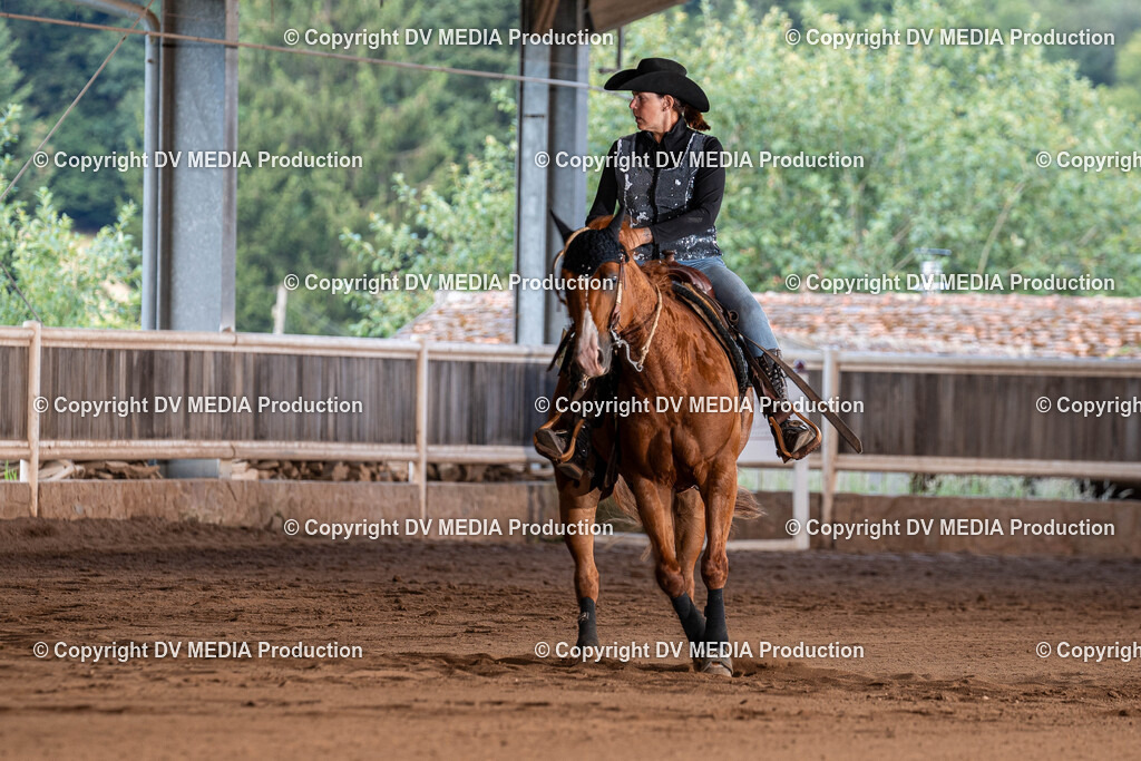 Erbach Tag 2-1036 | dv-media-shop - Realisiert mit Pictrs.com