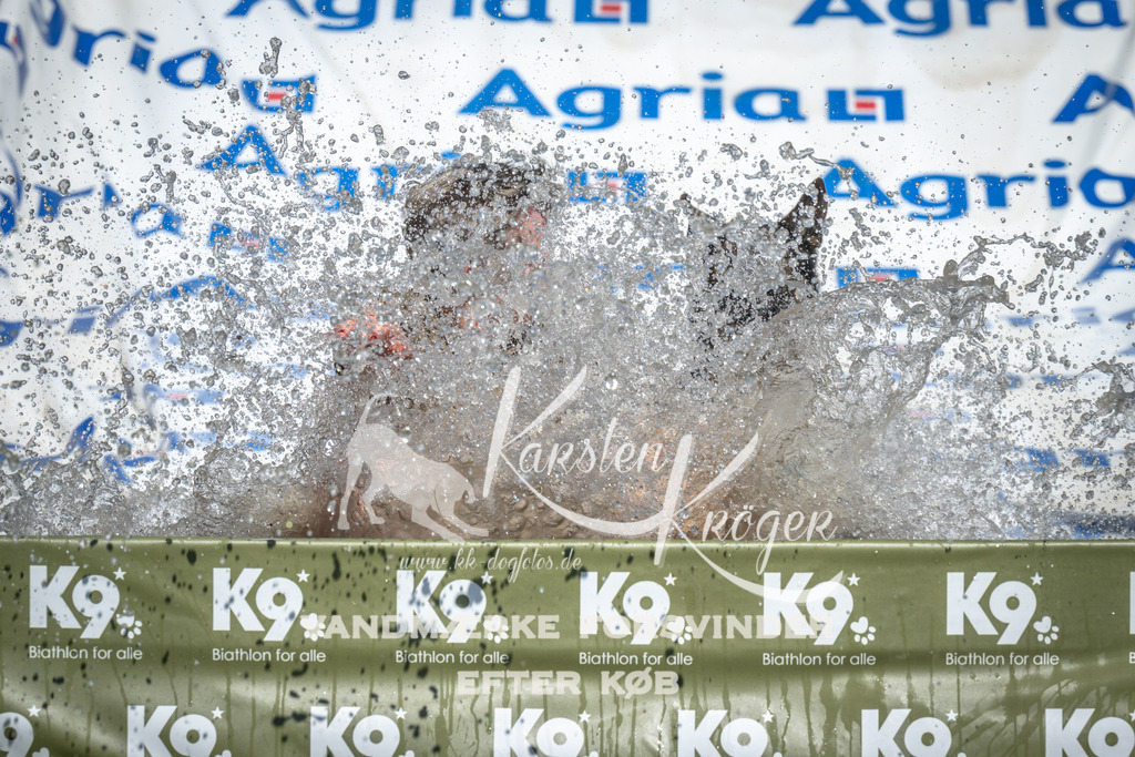 1420_ZZ93662 | kk-dogfotos