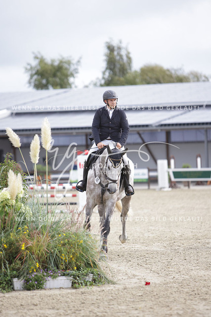 1J2A0519Timo Schramm_ Nordsee N_ Kn800_ Havekost | Foto- und Videografie für alles rund ums Pferd. Hochwertige Bilder und Videos vom Spring- und Dressurreiten, Voltigieren & mehr. Jetzt aktuelle Veranstaltungen und Preise im Shop ansehen. - Realisiert mit Pictrs.com