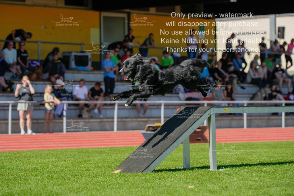 Sonntag_VK Hindernis (79 von 671) | stephaniefillaphotographie - Realisiert mit Pictrs.com