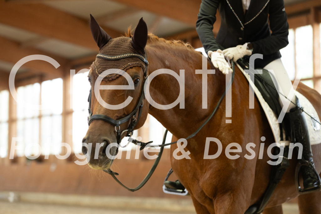 IMG_1652 | Creatify Fotografie