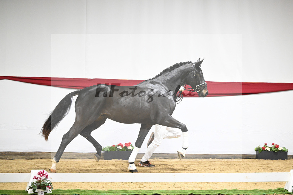 Kat-Nr. 51 v. Escamillo_Casper_63221295 | hf-fotografie - Realizzato con Pictrs.com