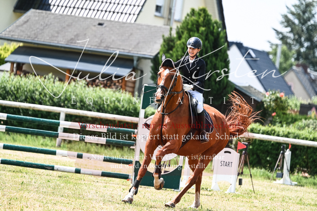 DSC_9174 | Pferde- und Turnierfotografie in Westsachsen. Pferdeportraits, Auftragszeichnungen und intuitive Kunst.