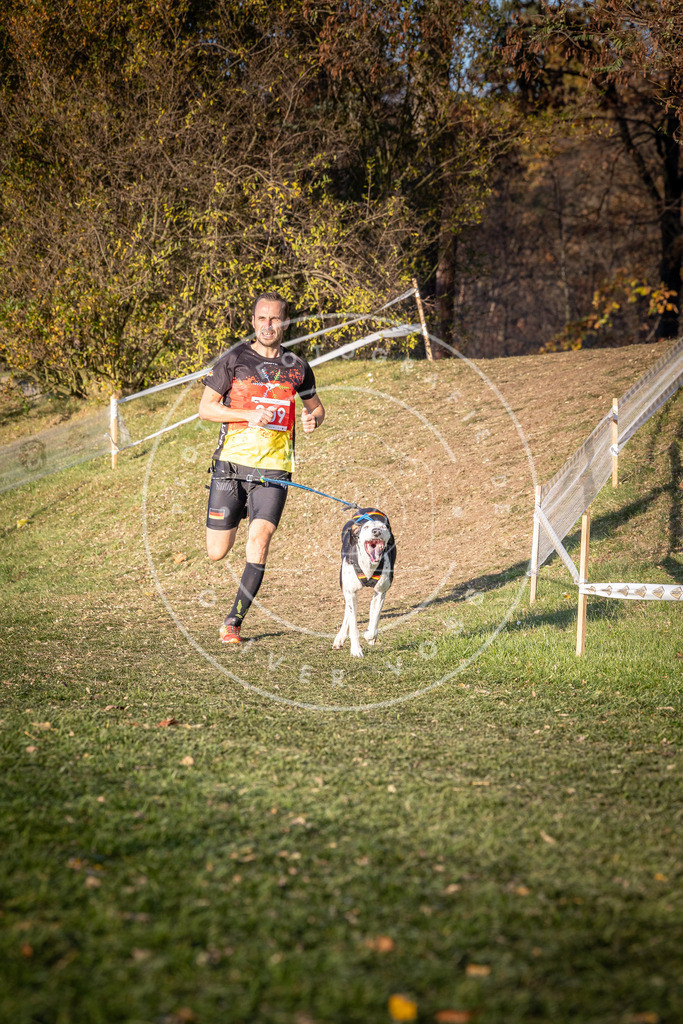 CaniXpix_0L8A0372 | Hundefotografie, Tierfotograf, Pfotenfotografie, Fotoshooting Hund, Hunde Portrait, Hundesport, Hundeportraits, Heideshooting, Hunde, Sportfotograf, Hundefotograf, Turnierhundsport, THS,  - Realisiert mit Pictrs.com