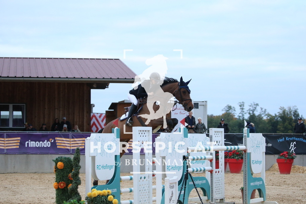 DL2Q6509 | Willkommen bei Brunnmayr - Design & Fotografie – Ihrem Spezialisten für Reitturniere und Pferdeveranstaltungen in Oberösterreich, Salzburg und Bayern! Seit über 17 Jahren sind wir leidenschaftlich dabei.