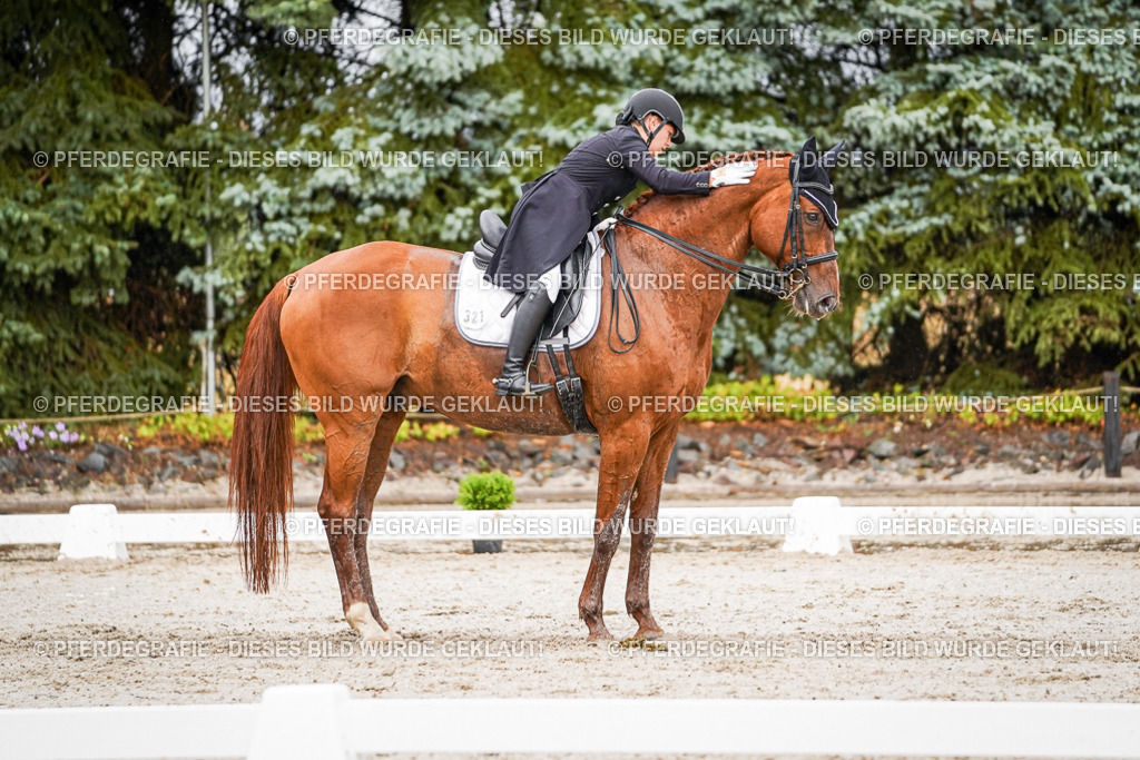 DSC09604 | Pferdegrafie