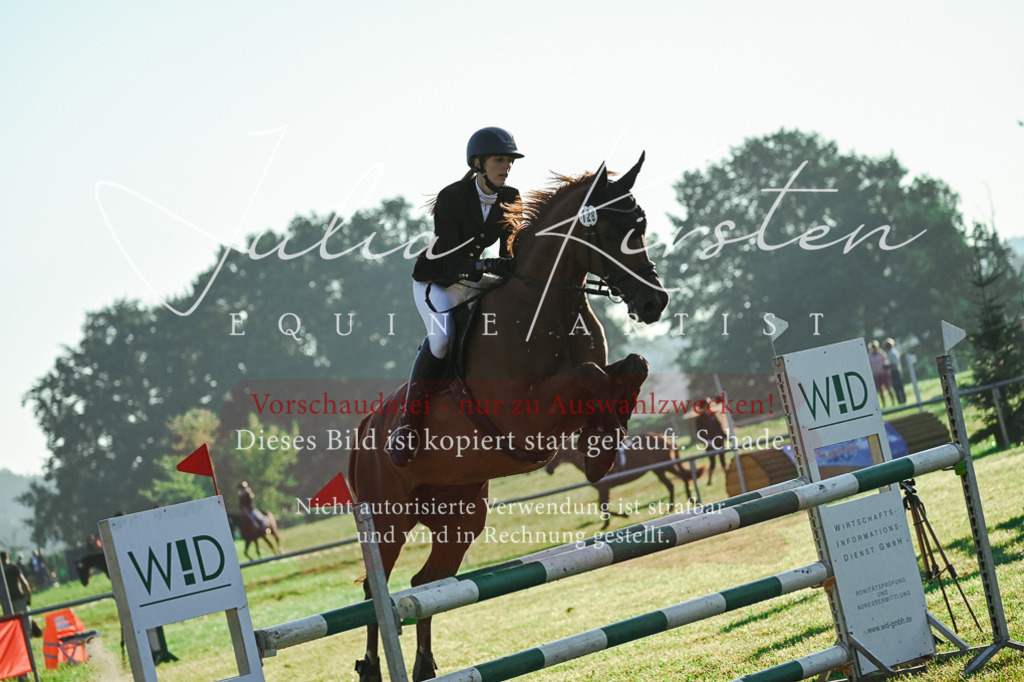 DSC_3946 | Pferde- und Turnierfotografie in Westsachsen. Pferdeportraits, Auftragszeichnungen und intuitive Kunst.