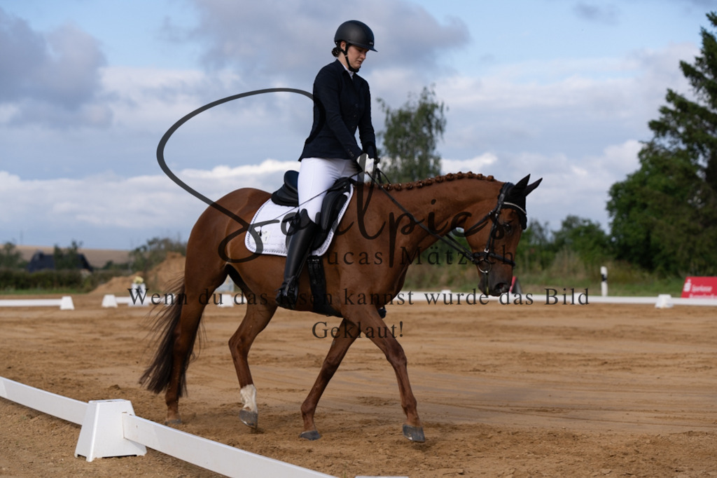 A7V05109 | Pferdefotograf