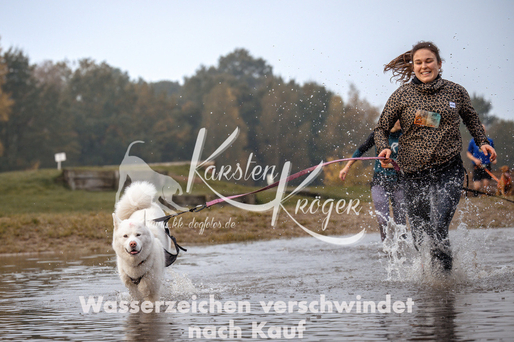 0829_ZZ91949 | kk-dogfotos