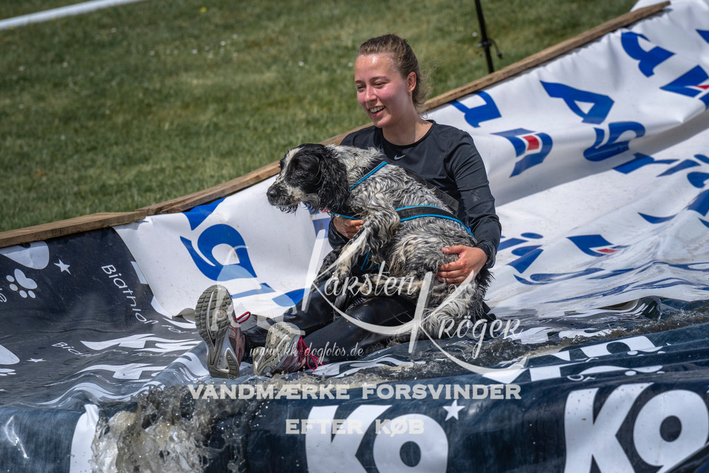 1114_ZZ91645 | kk-dogfotos