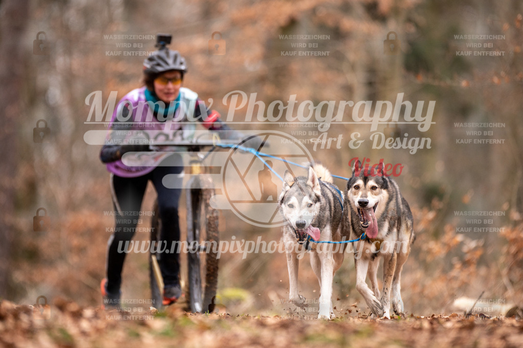 AKM_ST_2023_SAM_DS2-52 | PayLife