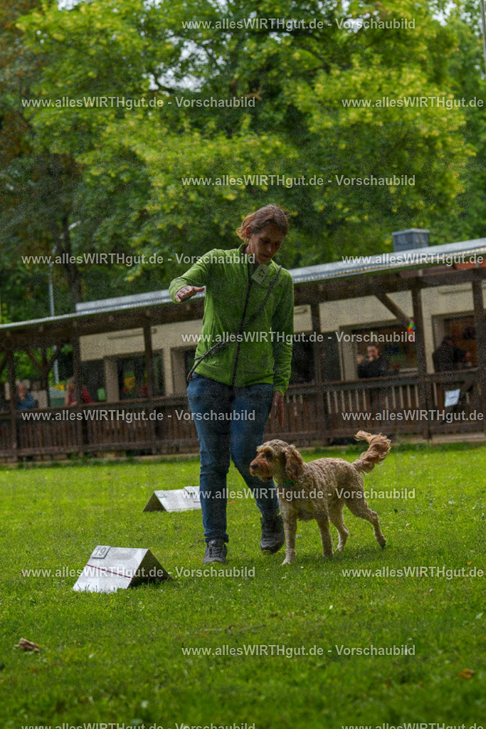 @allesWIRTHgut_Tierfotografie - www.allesWIRTHgut.de - 092408-7R507055 | Professionelle Tierfotografie in Mönchengladbach von Daniel Wirth (allesWIRTHgut). Liebevolle & natürliche Bilder von Hunden & Katzen für unvergessliche Erinnerungen.