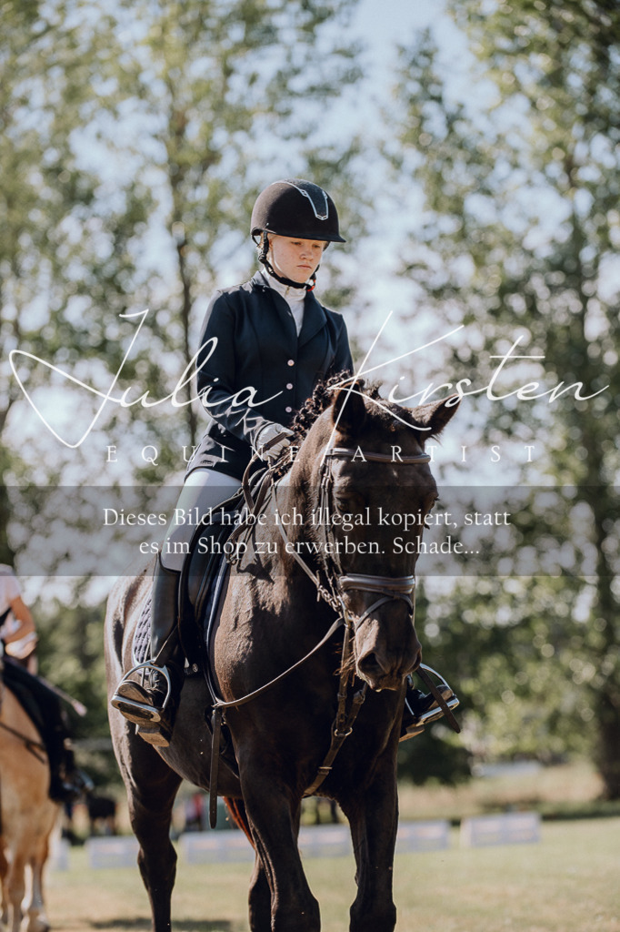 DSC_7229 | Pferde- und Turnierfotografie in Westsachsen. Pferdeportraits, Auftragszeichnungen und intuitive Kunst.