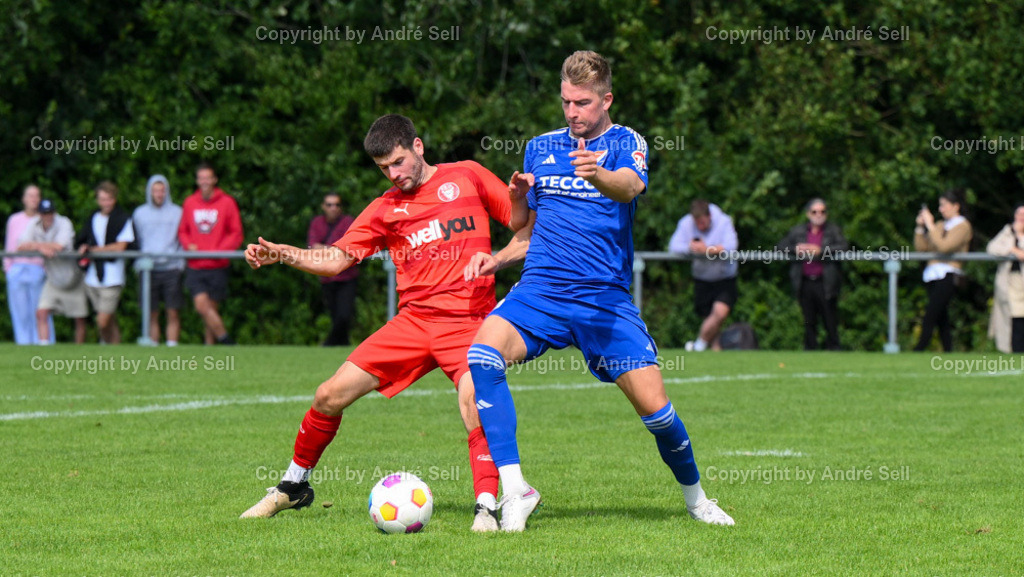 SpVg Eidertal Molfsee vs FC Kilia Kiel | Tobias Fölster (Molfsee #30) / Tom Baller (Kilia #8) - Fußball-Oberliga Männer 2024/2025 / SpVg Eidertal Molfsee vs FC Kilia Kiel / Platz A / Molfsee / 25.08.24 - Realisiert mit Pictrs.com