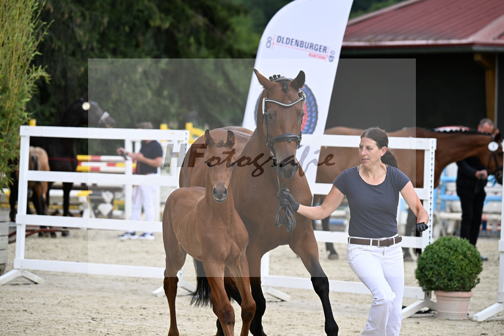Kat-Nr. 6 Kjento x Millennium_Hopf_25240334 | hf-fotografie - Realisiert mit Pictrs.com