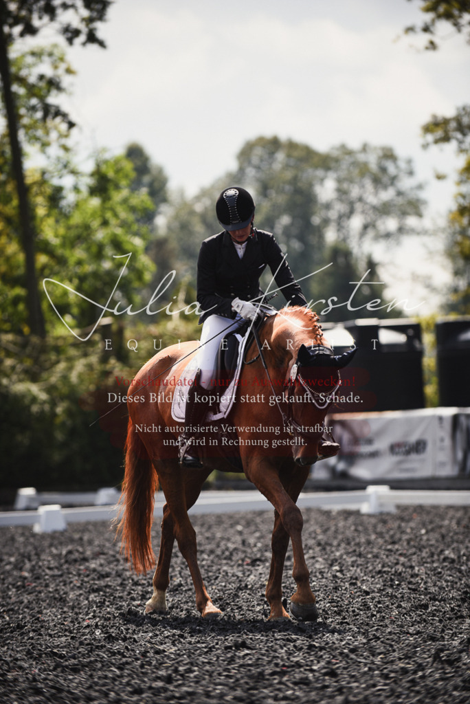 DSC_4079 | Pferde- und Turnierfotografie in Westsachsen. Pferdeportraits, Auftragszeichnungen und intuitive Kunst.