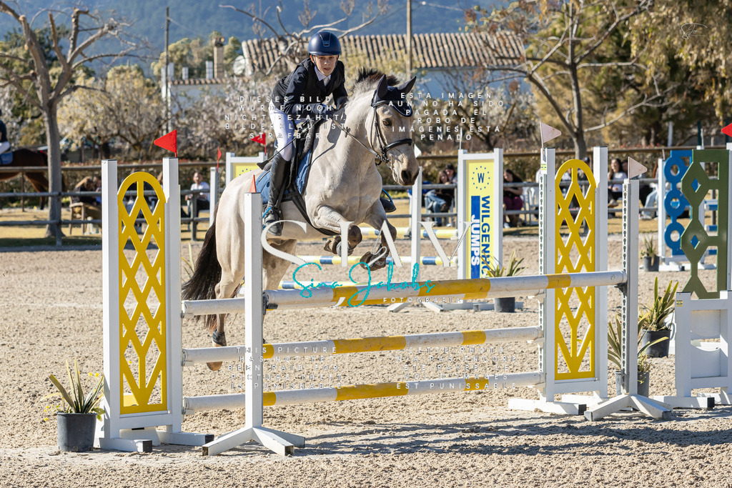 IMG_1467 | s-jay-photography - Realisiert mit Pictrs.com