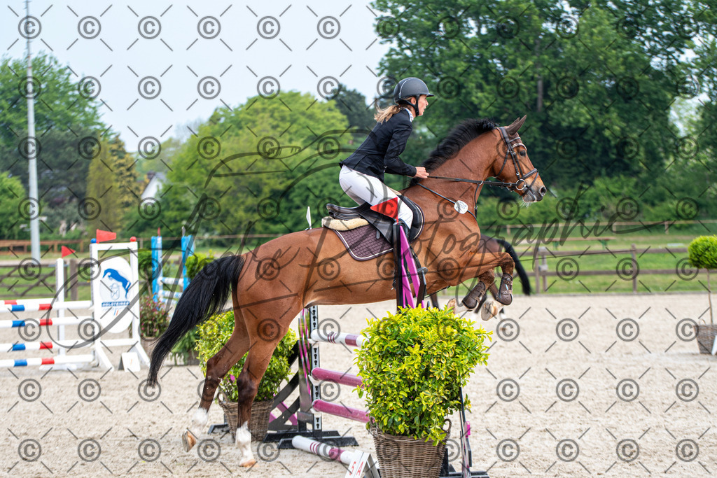 KPT_2734 | andre_photographic