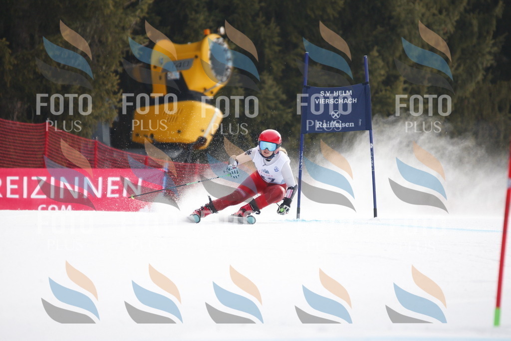 D5040 | holidayphoto