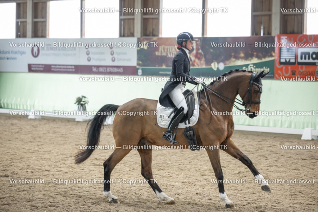 _D5A6248 | Emotionale Pferde- & People-Fotografie rund um Heidelberg, Leimen & Umgebung. Natürliche Fotos von Pferd, Mensch & Familie. Jetzt Termin sichern!