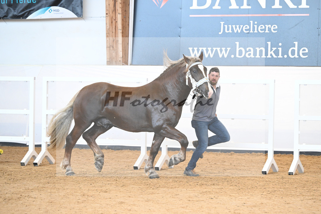 Kat-Nr. 15 v. Sambuca_Kotz_2230132 | hf-fotografie - Realisiert mit Pictrs.com