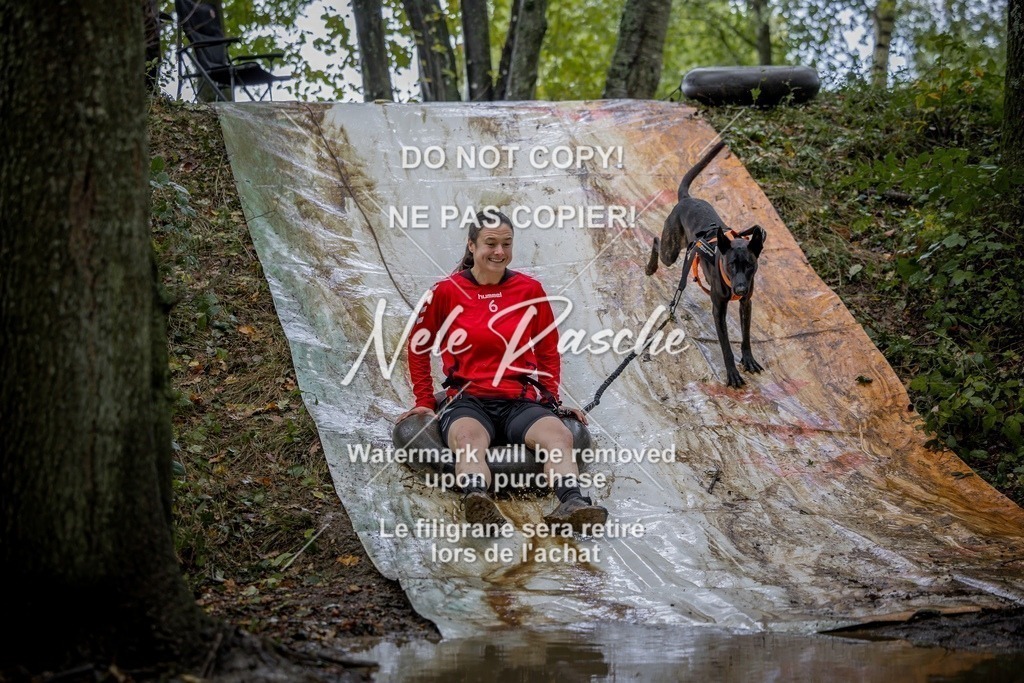 nelerasche_Hunsrück_Sa1430-1500_98-final | nelerasche