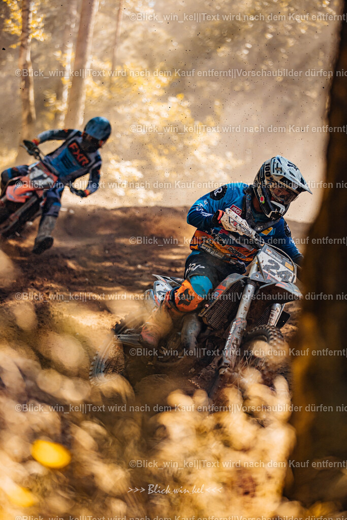 E68A3169 | blick_win_kel