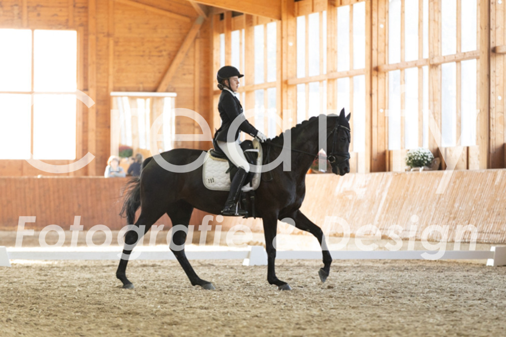 IMG_3501 | Creatify Fotografie