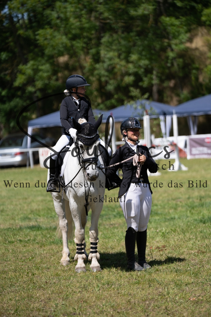 A7V06267 | Pferdefotograf