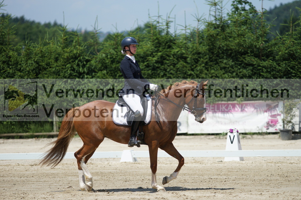 DSC04928 | equestrian-live-com