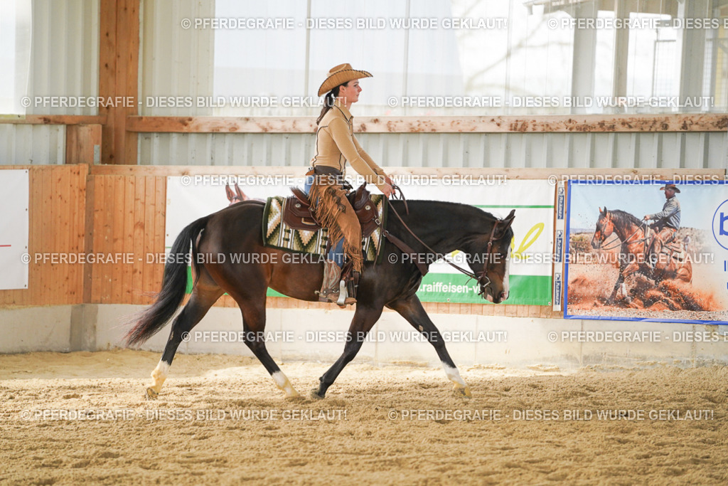 DSC05771 | Pferdegrafie