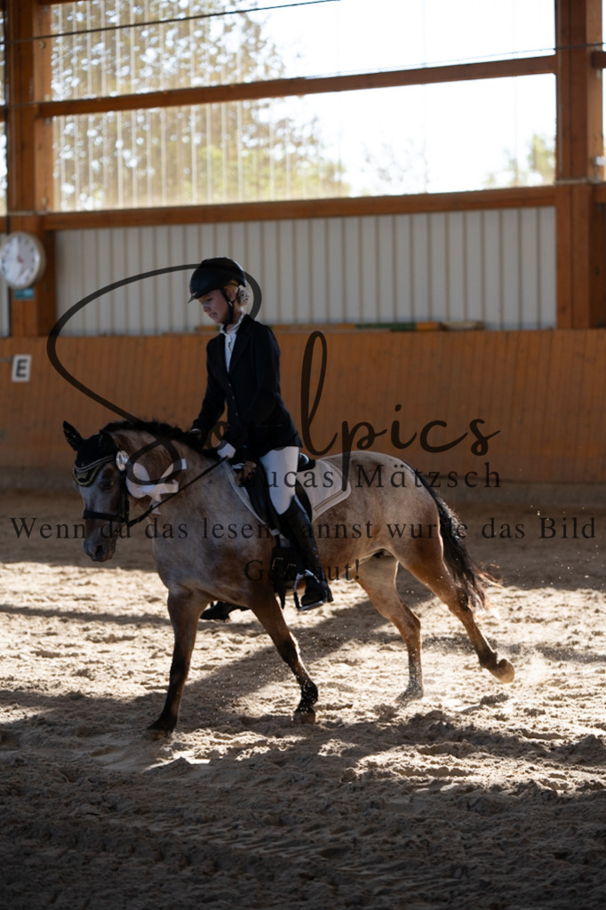 A7V01829 | Turnier/Reitfotograf