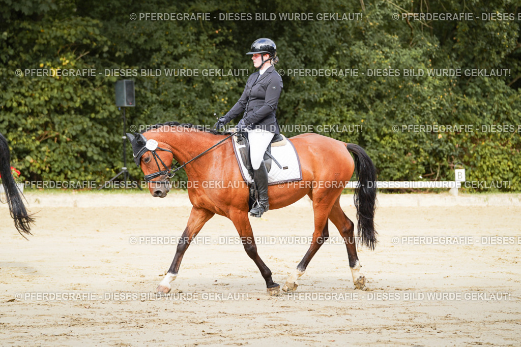 DSC01550 | Pferdegrafie