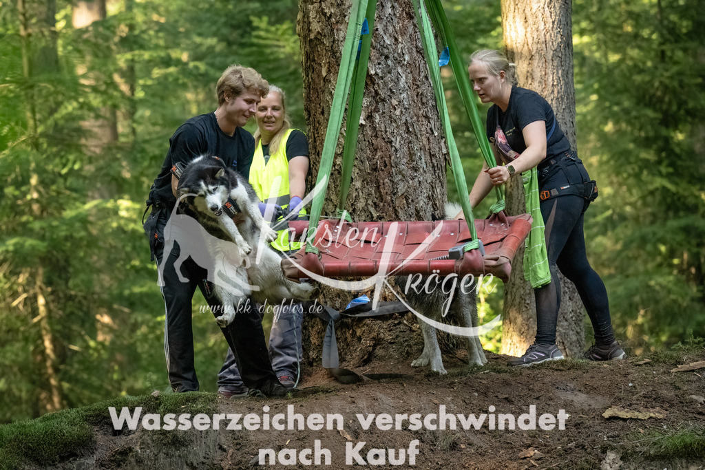 1447_ZZ90829-Bearbeitet-2 | kk-dogfotos