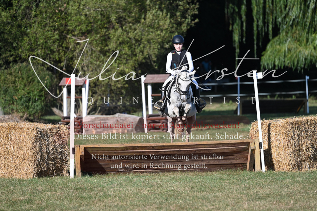 DSC_8956 | Pferde- und Turnierfotografie in Westsachsen. Pferdeportraits, Auftragszeichnungen und intuitive Kunst.