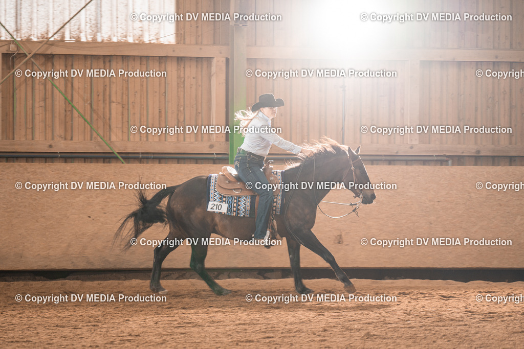 BAL00627 | dv-media-shop - Realisiert mit Pictrs.com