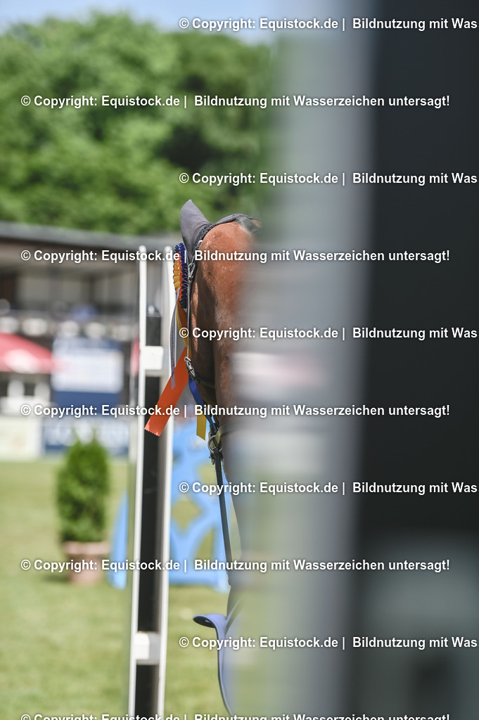 20230529_18_CSI4_Obermayr_0165 | equistock