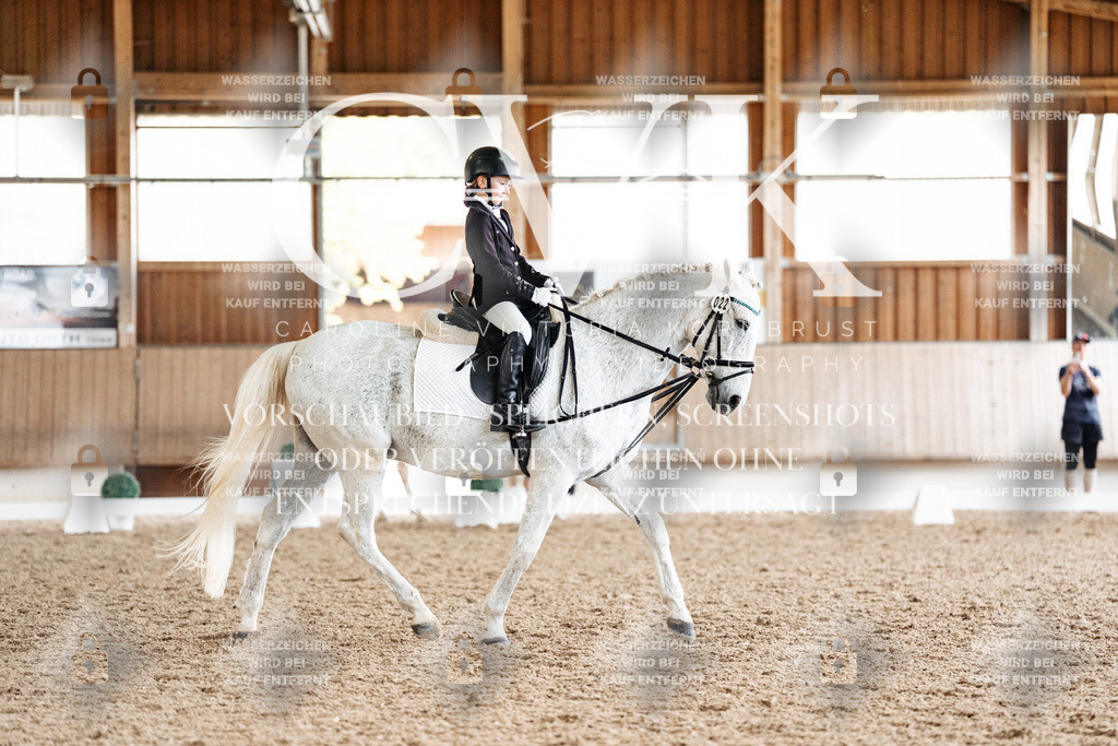 CK900404 | Turnierfotografie Pferdefotografie Trier Rheinland-Pfalz Pferdesport Reitsport Tierfotografie Sportfotografie Pferdevideo Pferdevideografie Equestrianvideography equestrianphotography  - Realisiert mit Pictrs.com