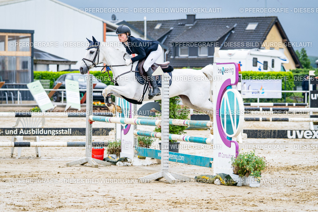 DSC03275 | Pferdegrafie