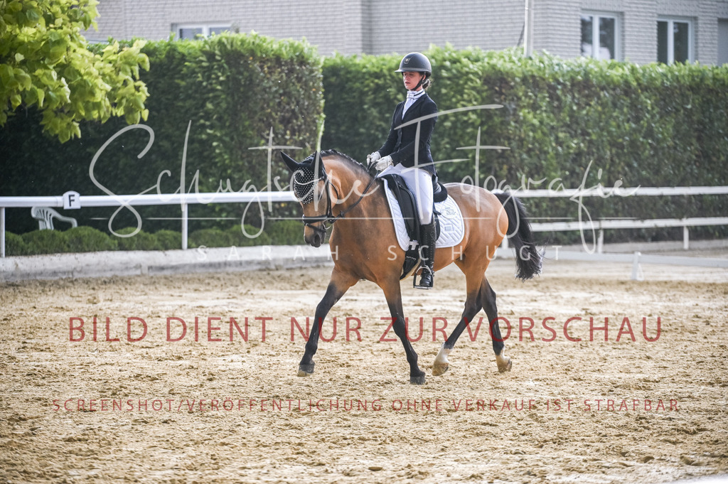 Schugtsche-Aluta25-55.Dressurreiterprf.L1Tr-234 | Schugtsche Fotografie - Realisiert mit Pictrs.com