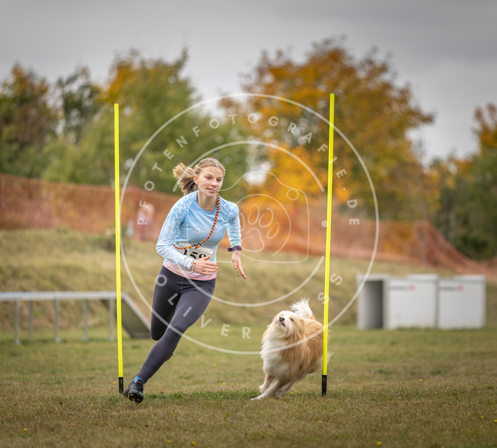 Pfotenfotografie_DV3A5132 | Hundefotografie, Tierfotograf, Pfotenfotografie, Fotoshooting Hund, Hunde Portrait, Hundesport, Hundeportraits, Heideshooting, Hunde, Sportfotograf, Hundefotograf, Turnierhundsport, THS,  - Realisiert mit Pictrs.com